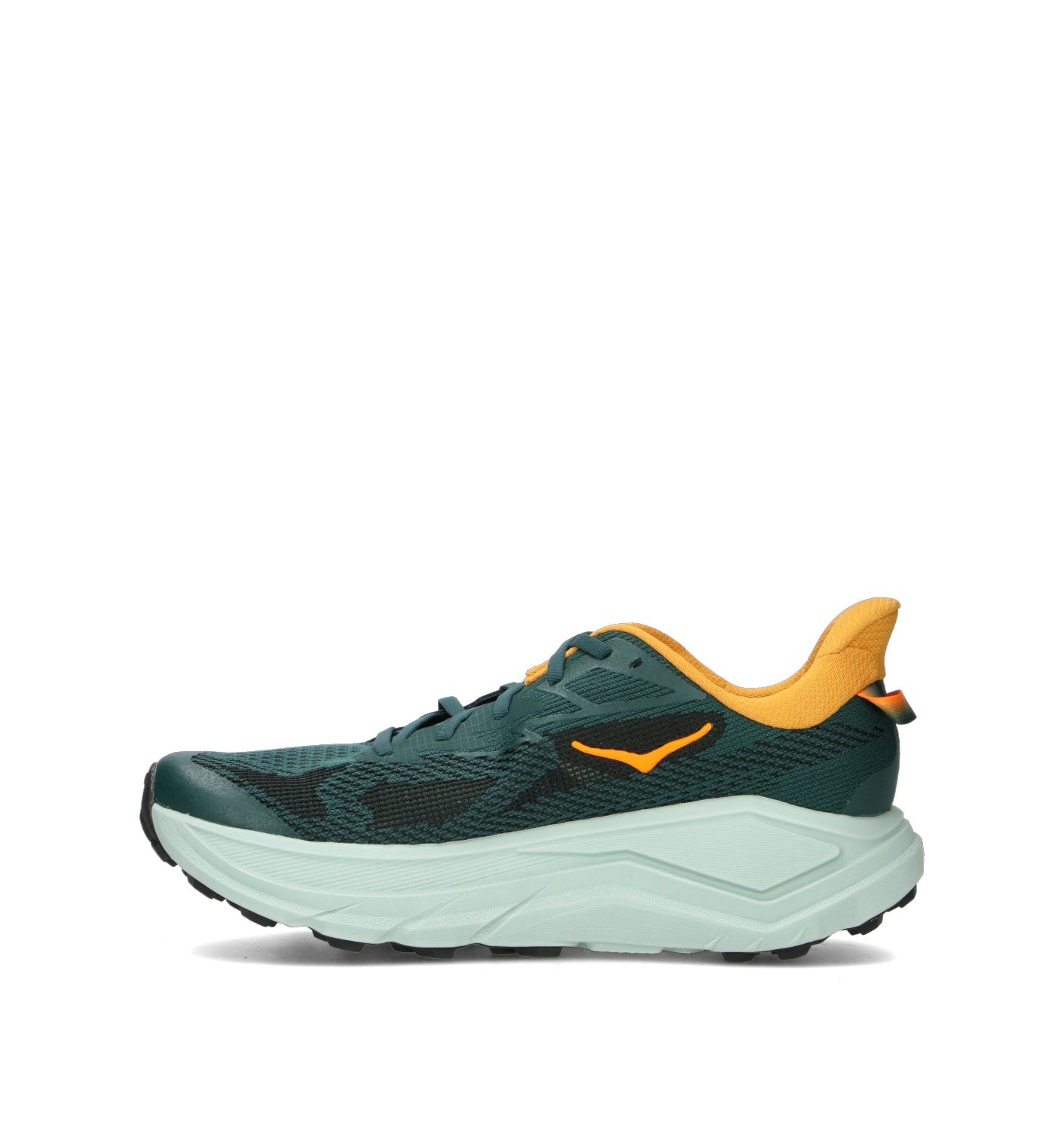 HOKA ONE ONE M CHALLENGER 8 Scarpa trail running uomo bay leaf/sage