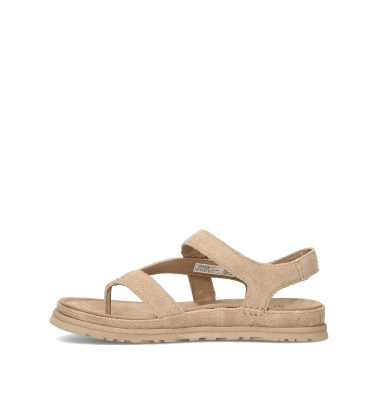 UGG W GOLDENGAZE TOE POST Sandalo donna mustard seed in suede