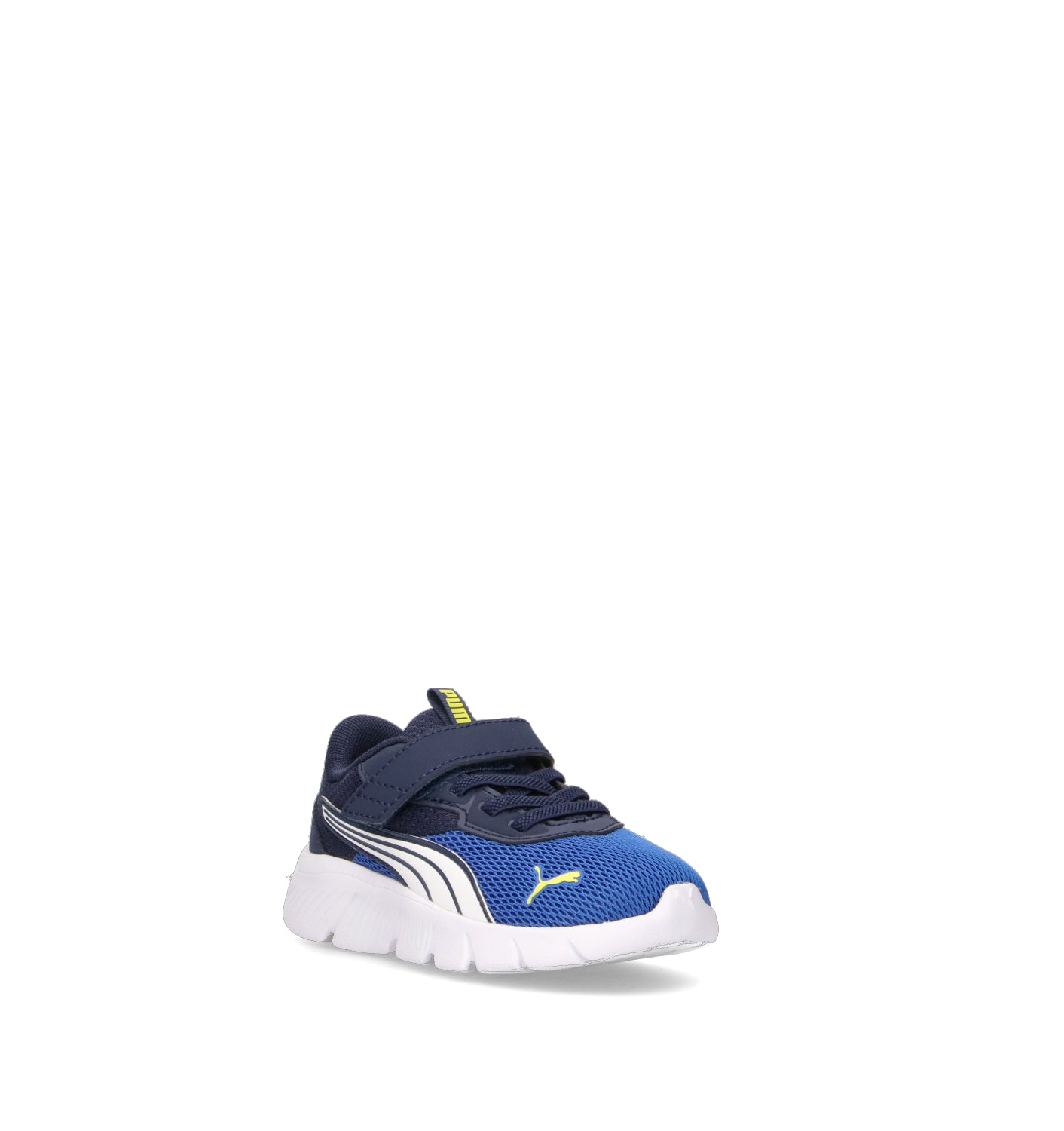 PUMA FLEXFOCUS MODERN AC + INF Sneaker bimbo blu