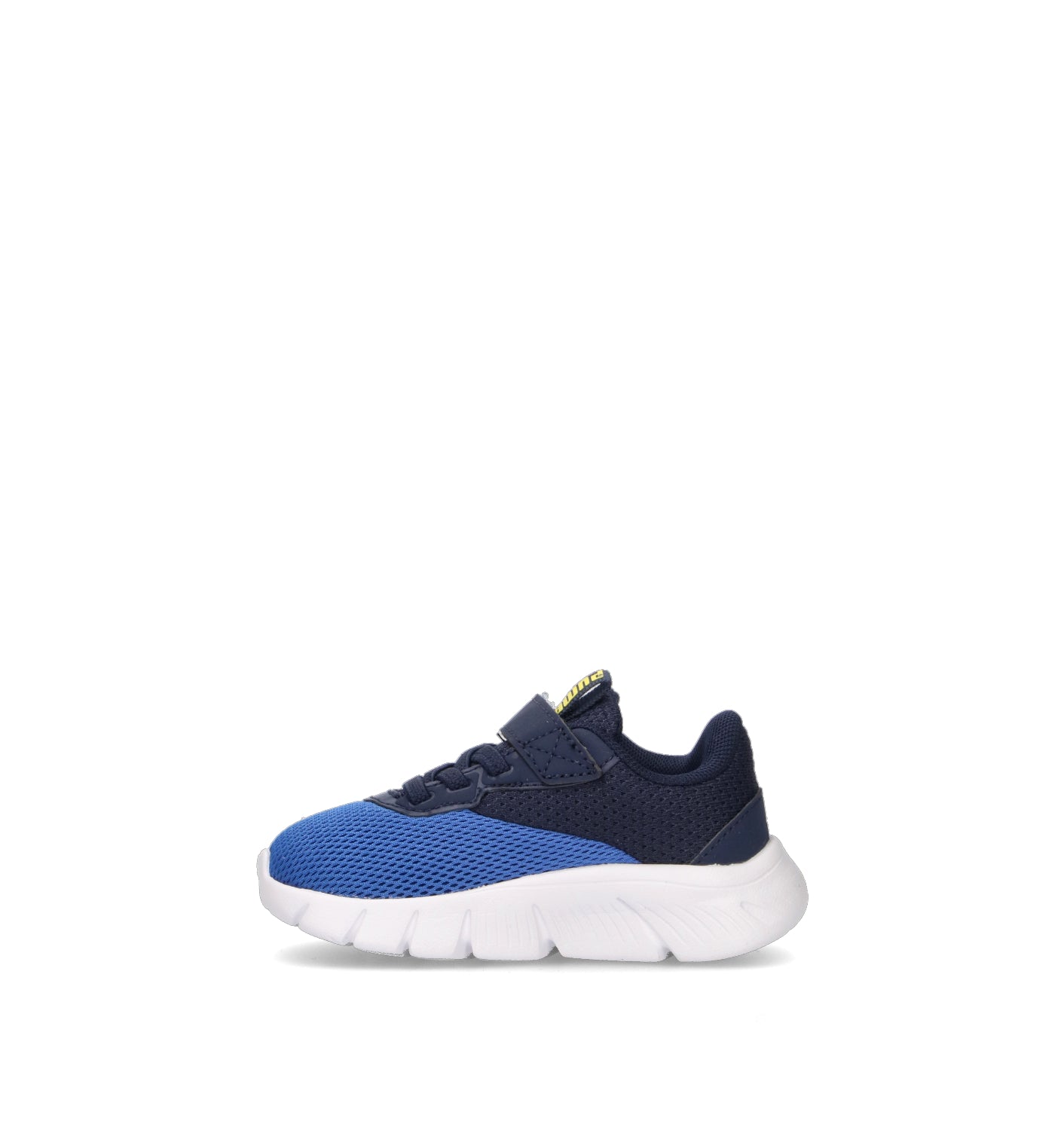 PUMA FLEXFOCUS MODERN AC + INF Sneaker bimbo blu