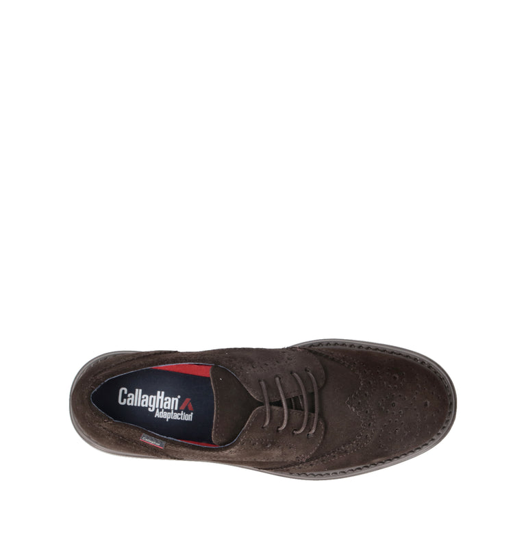 CALLAGHAN Stringata donna testa di moro in suede