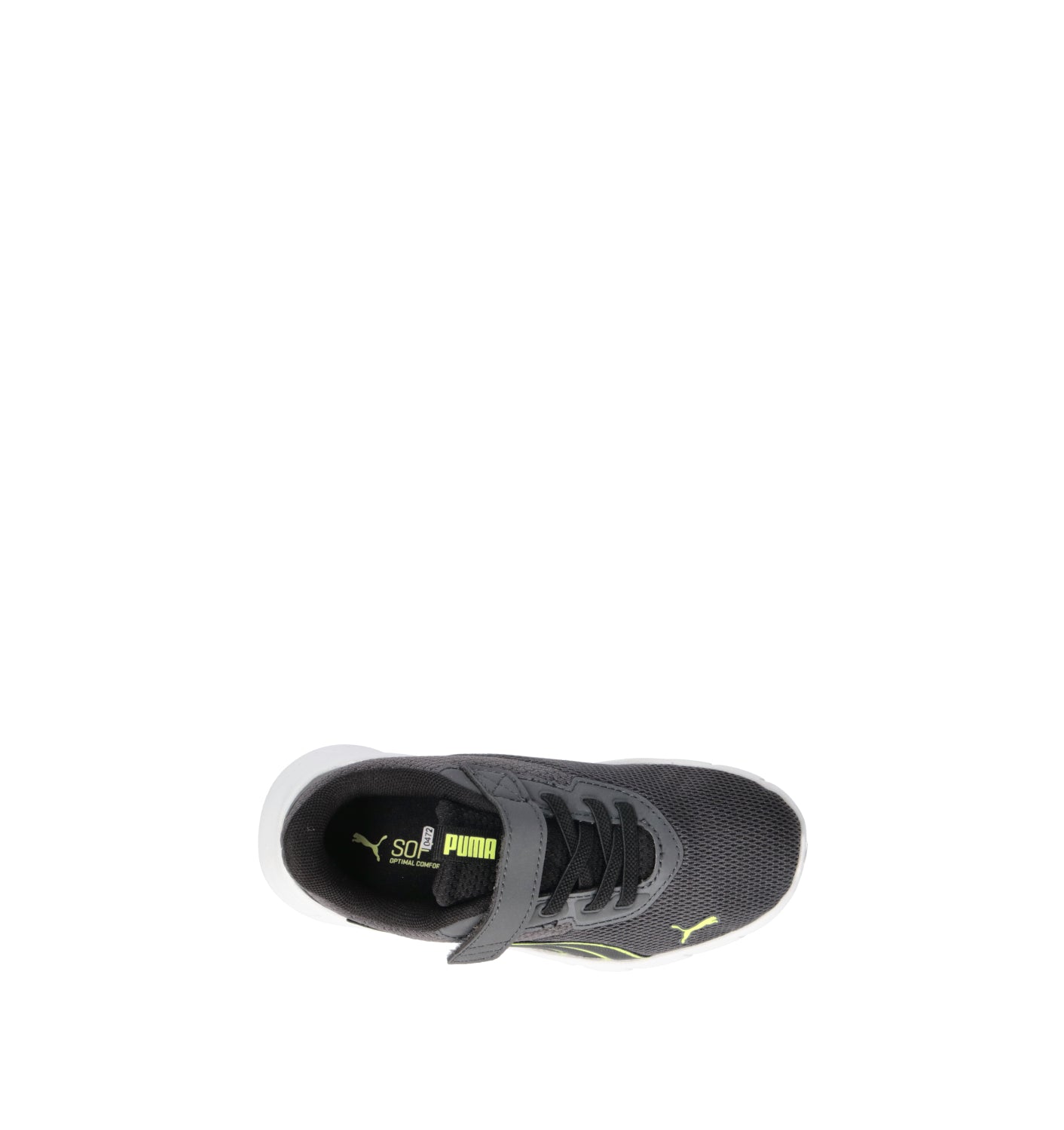 PUMA FLEXFOCUS MODERN AC + PS Sneaker bimbo grigia