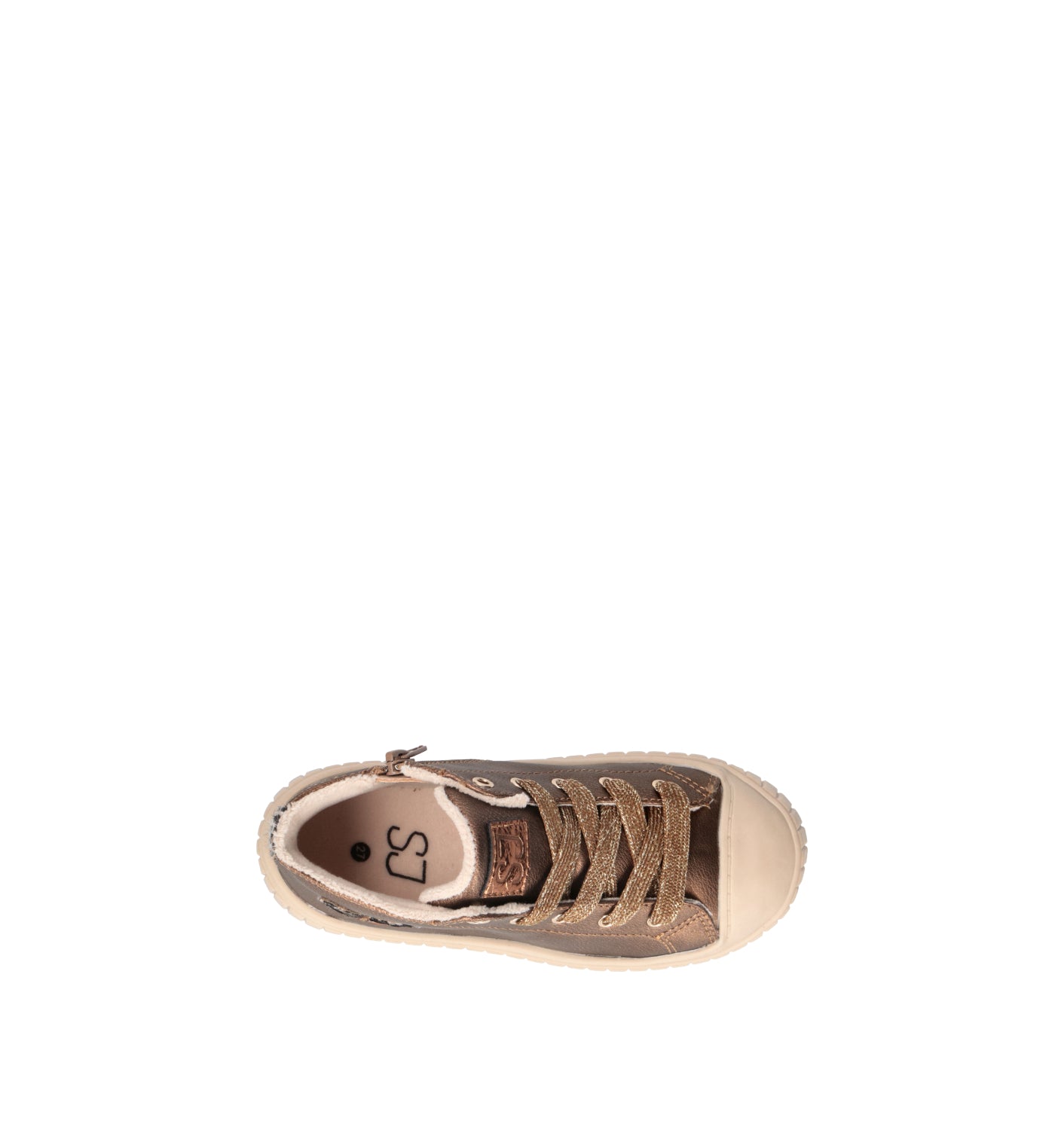 SJ Polacco bimba