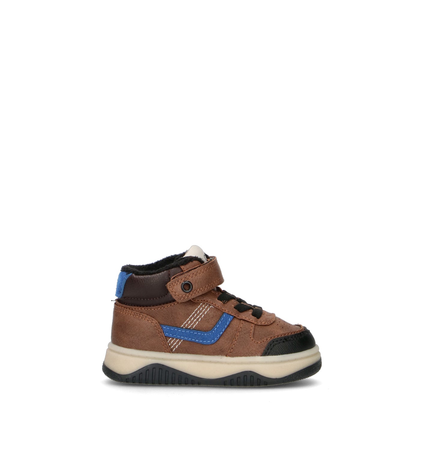 SJ Polacco bimbo marrone