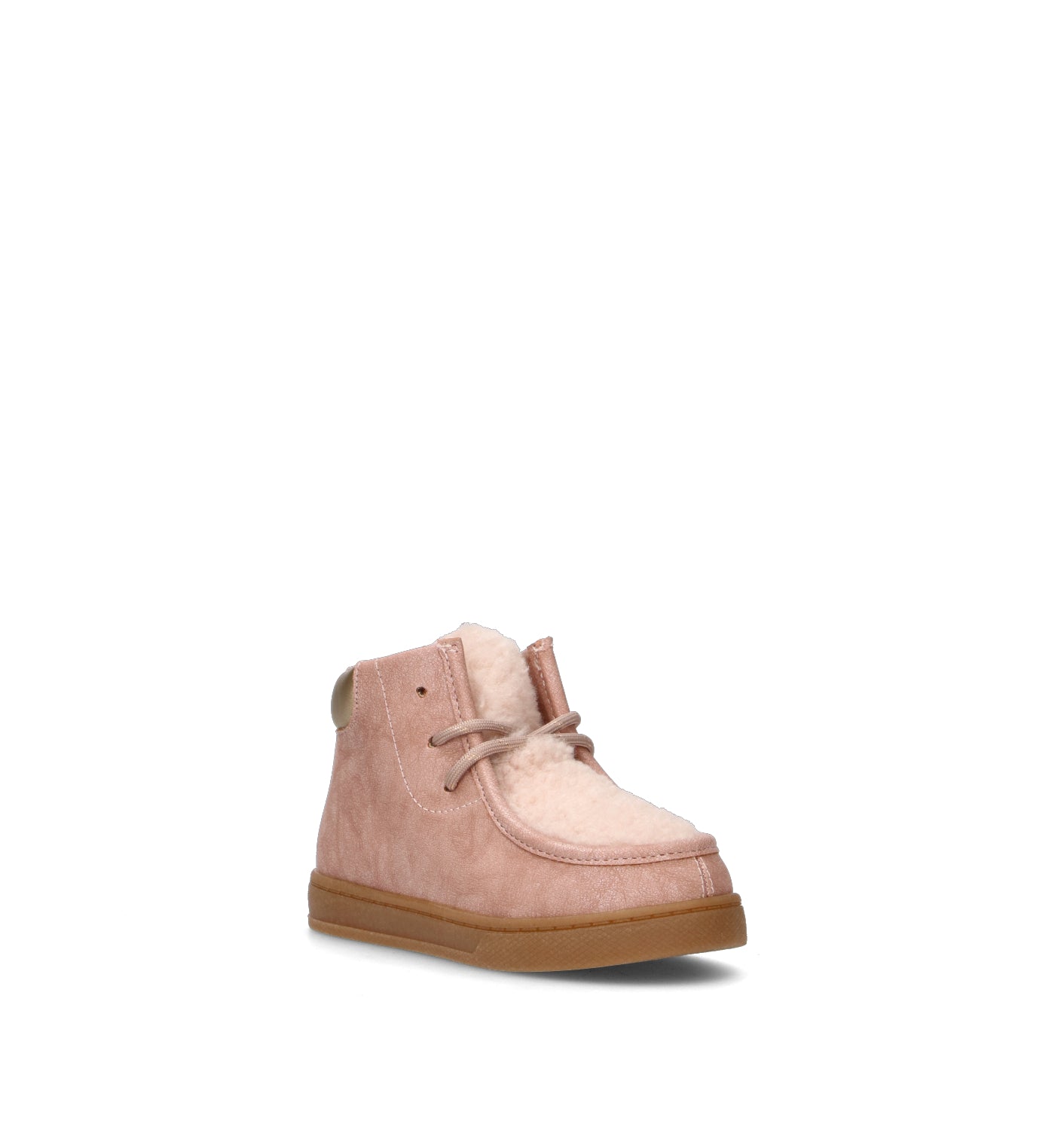 SJ Polacco bimba