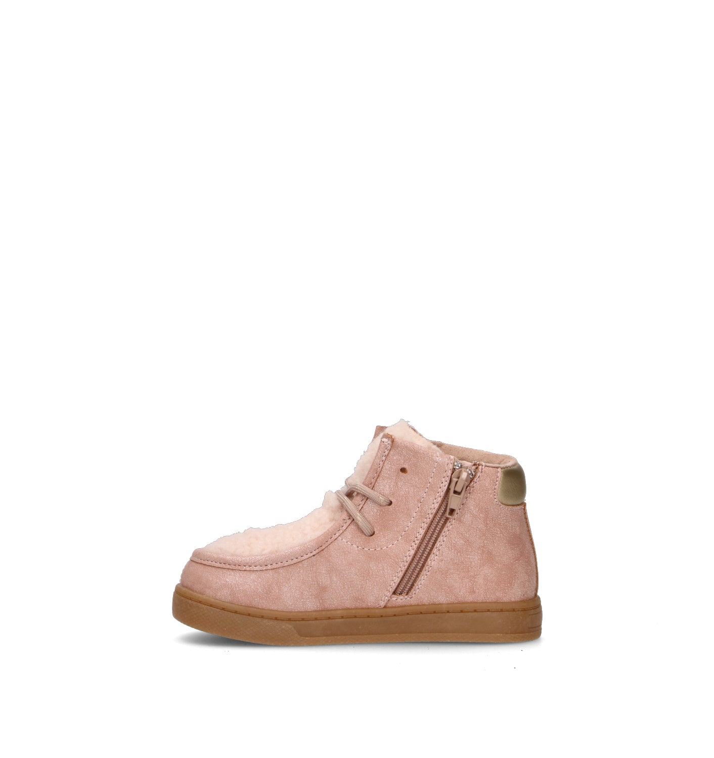 SJ Polacco bimba