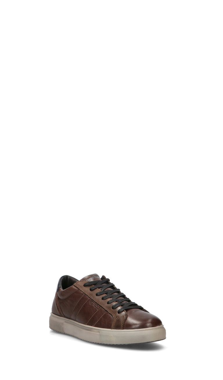 IGI&CO Sneaker uomo caffè in pelle