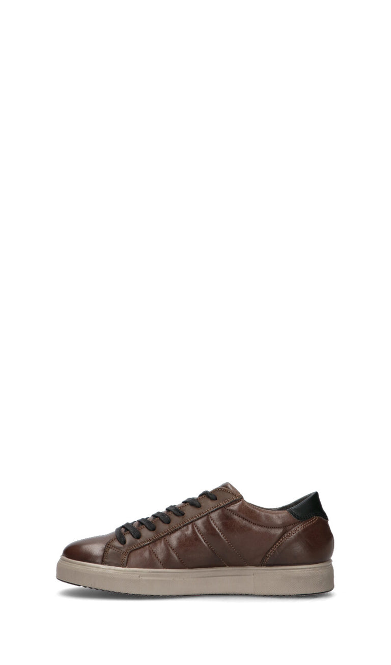 IGI&CO Sneaker uomo caffè in pelle