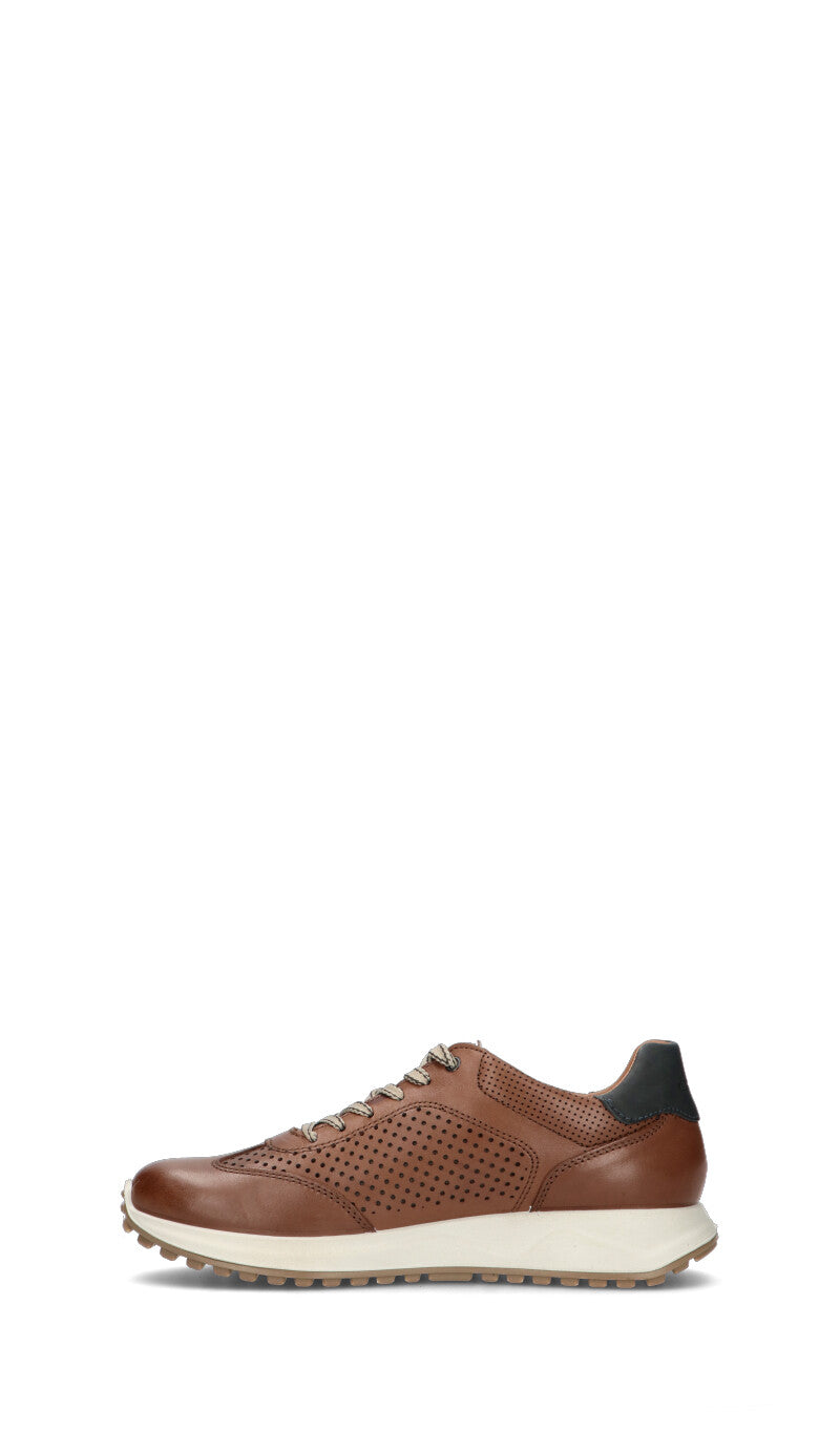 IGI&CO Sneaker uomo tabacco in pelle