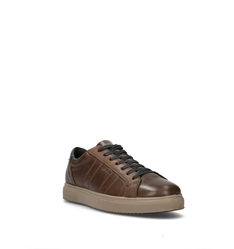 IGI&CO Sneaker uomo marrone in pelle