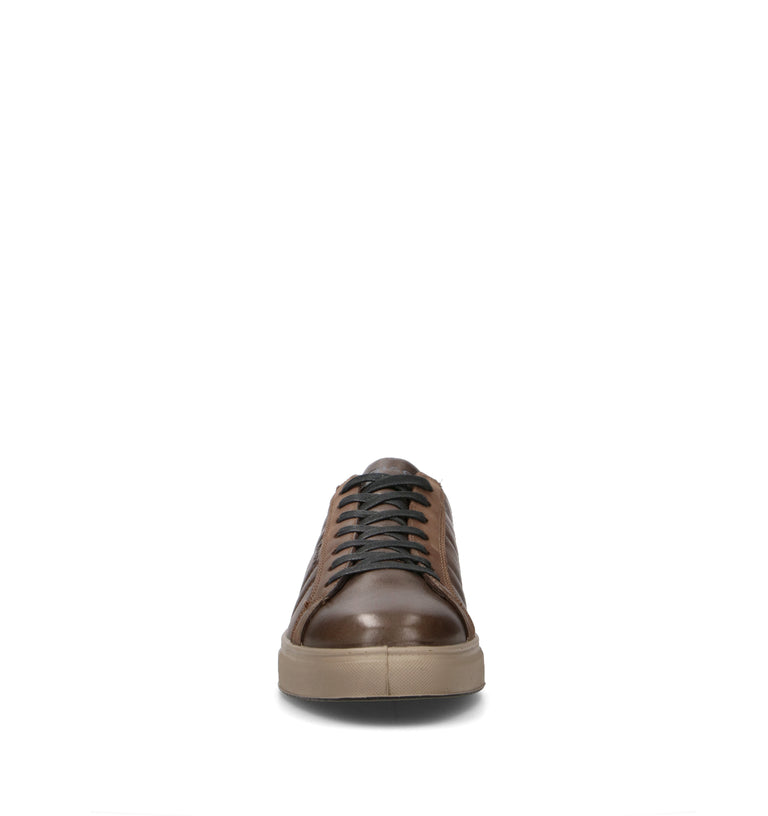 IGI&CO Sneaker uomo marrone in pelle