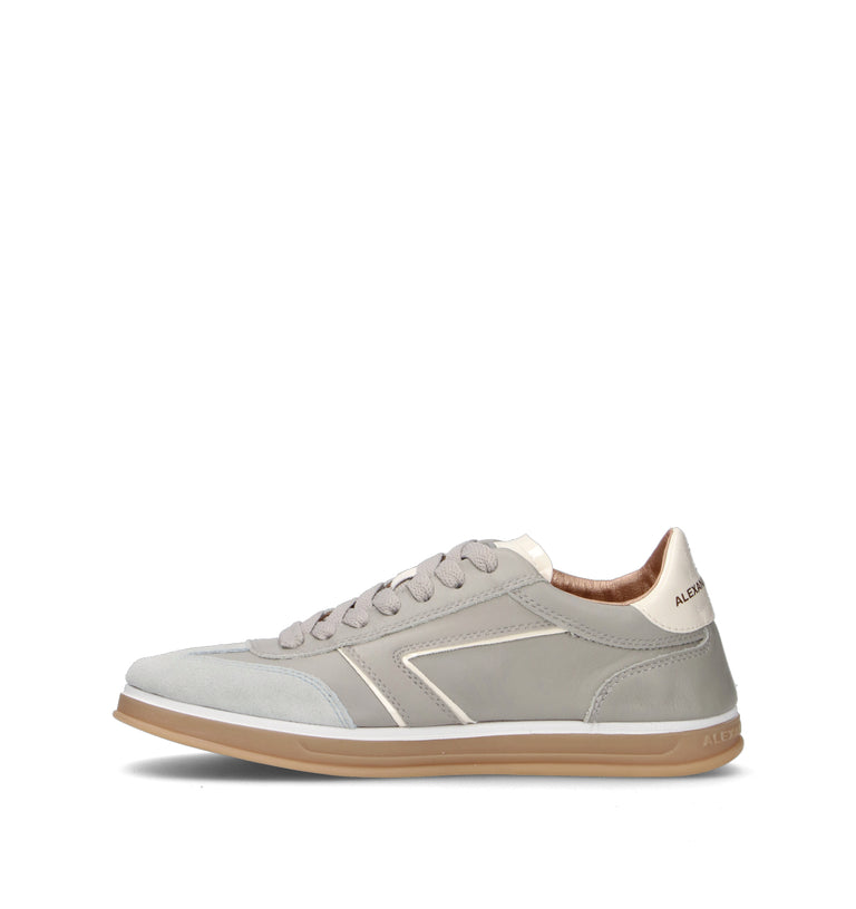 ALEXANDER SMITH Sneaker donna grigia
