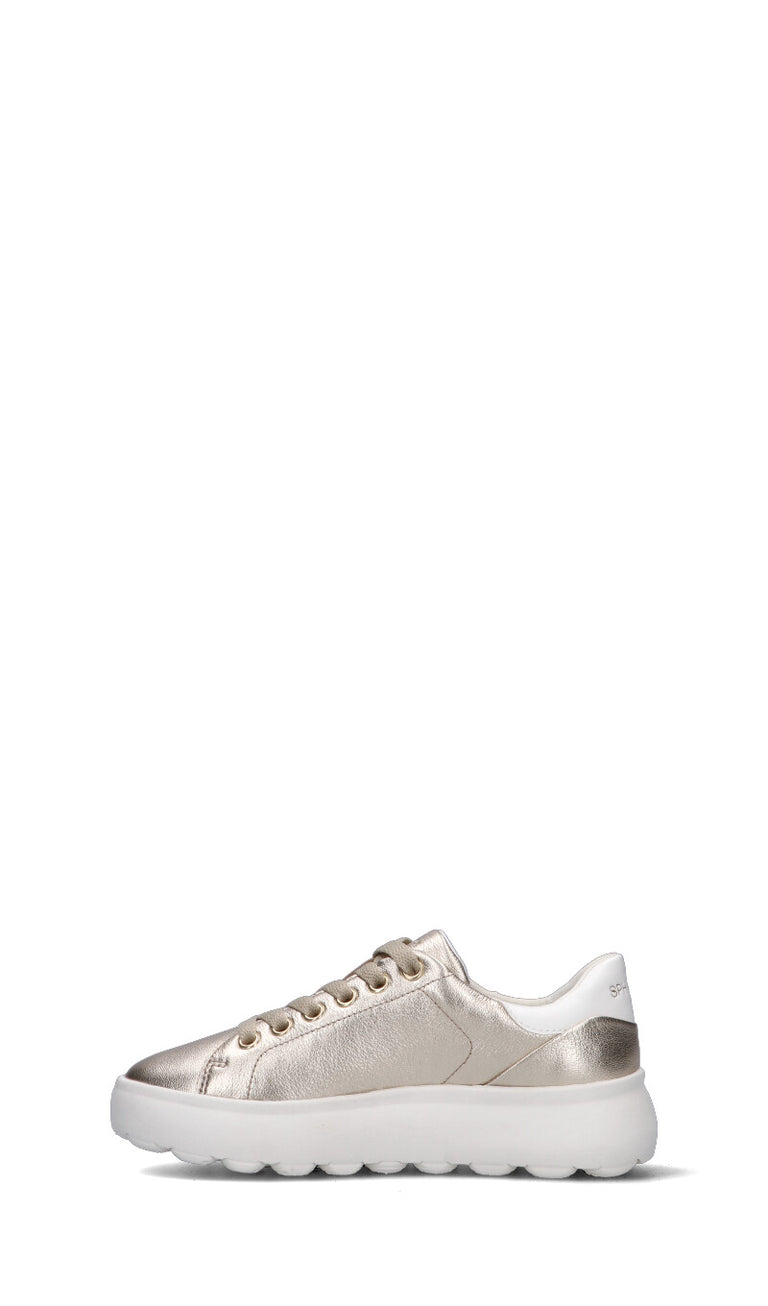 GEOX Sneaker donna oro