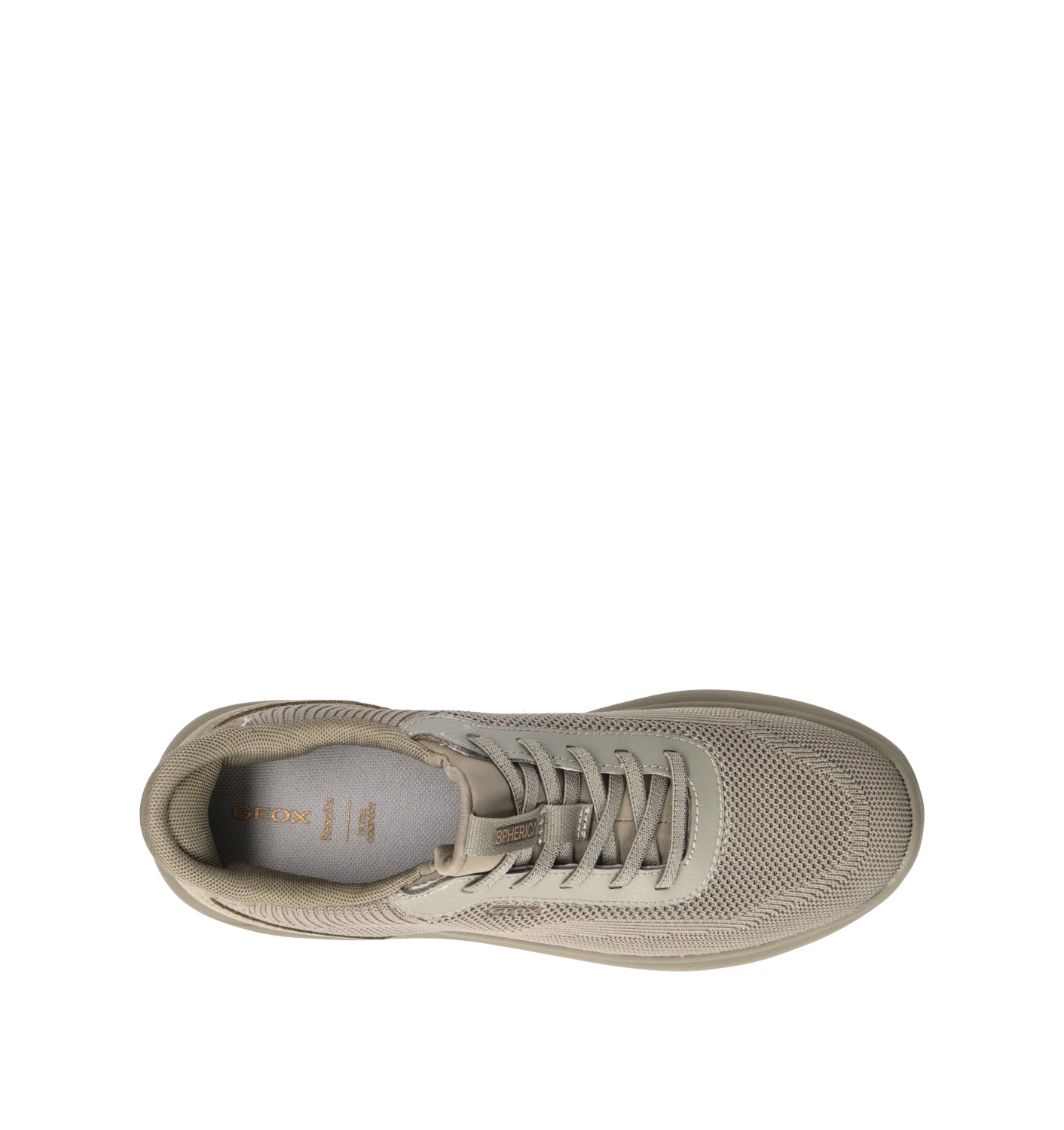 GEOX Sneaker donna salvia