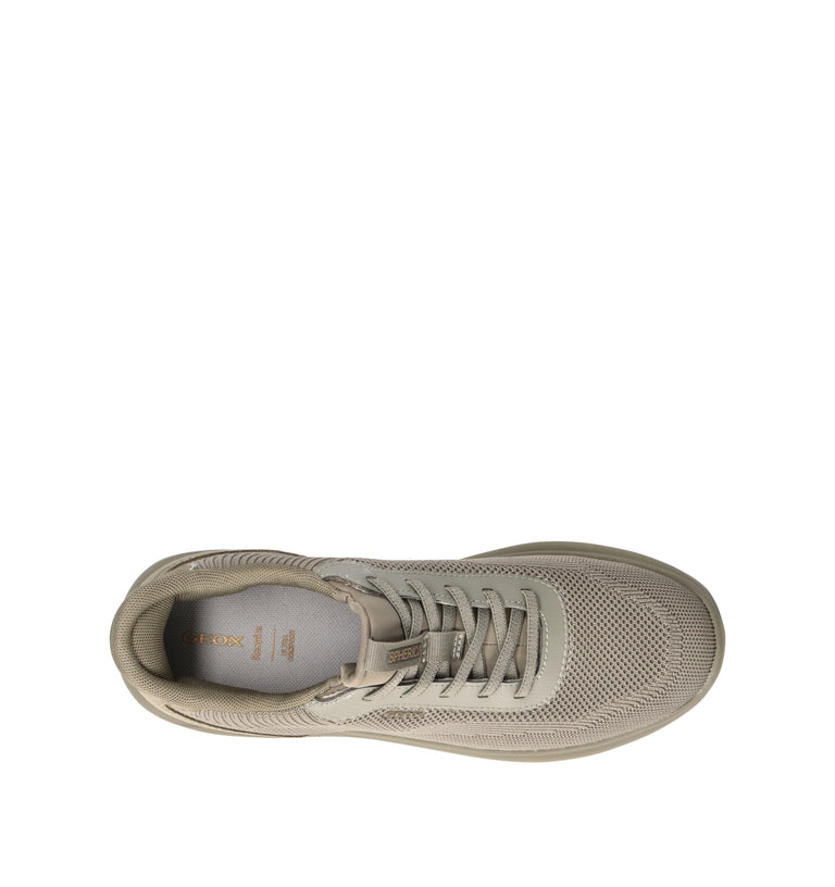 GEOX Sneaker donna salvia