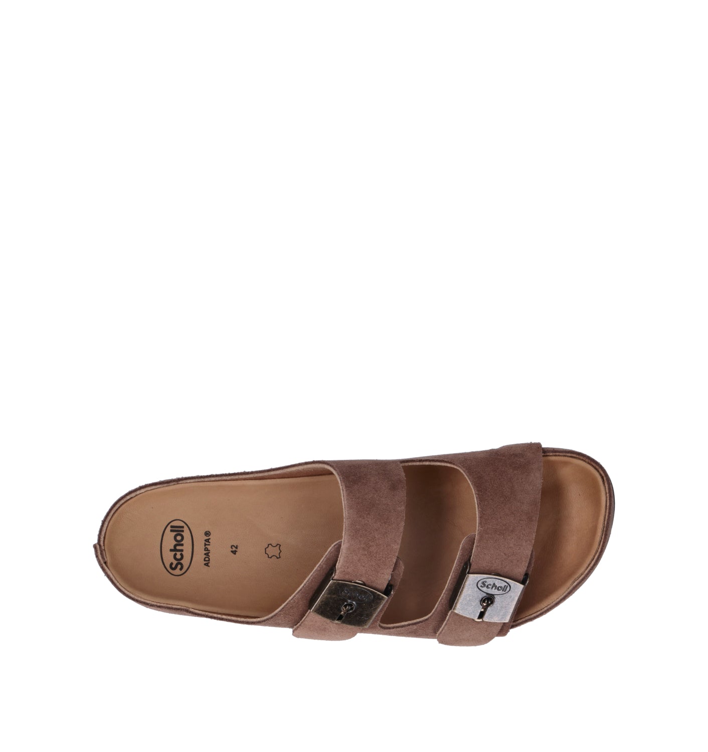 SCHOLL Ciabatta uomo taupe in suede
