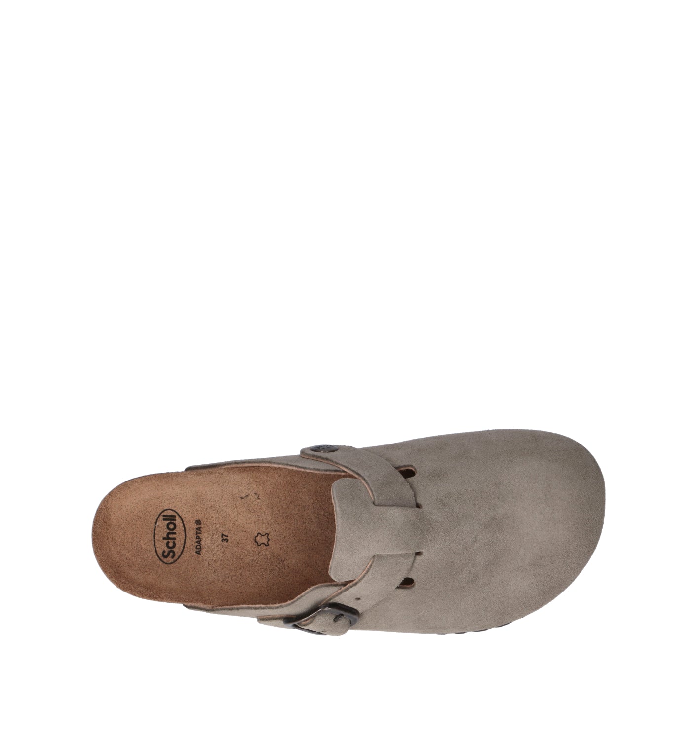 SCHOLL Sabot donna salvia in suede