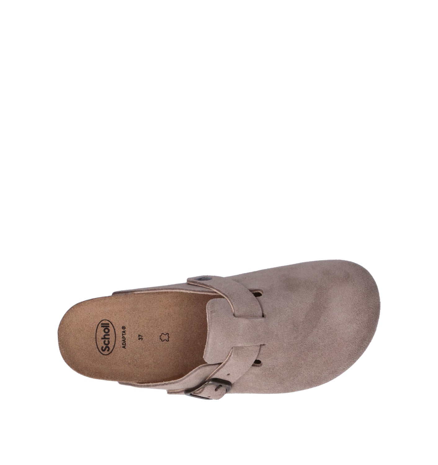 SCHOLL Sabot donna beige in suede