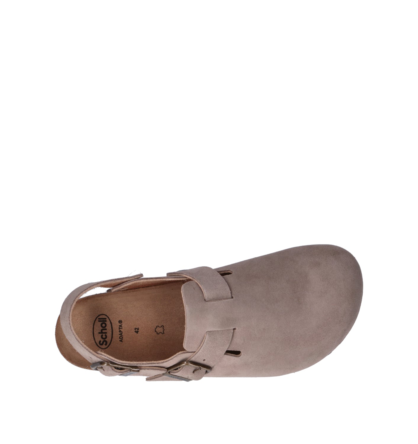 SCHOLL Zoccolo uomo beige in suede