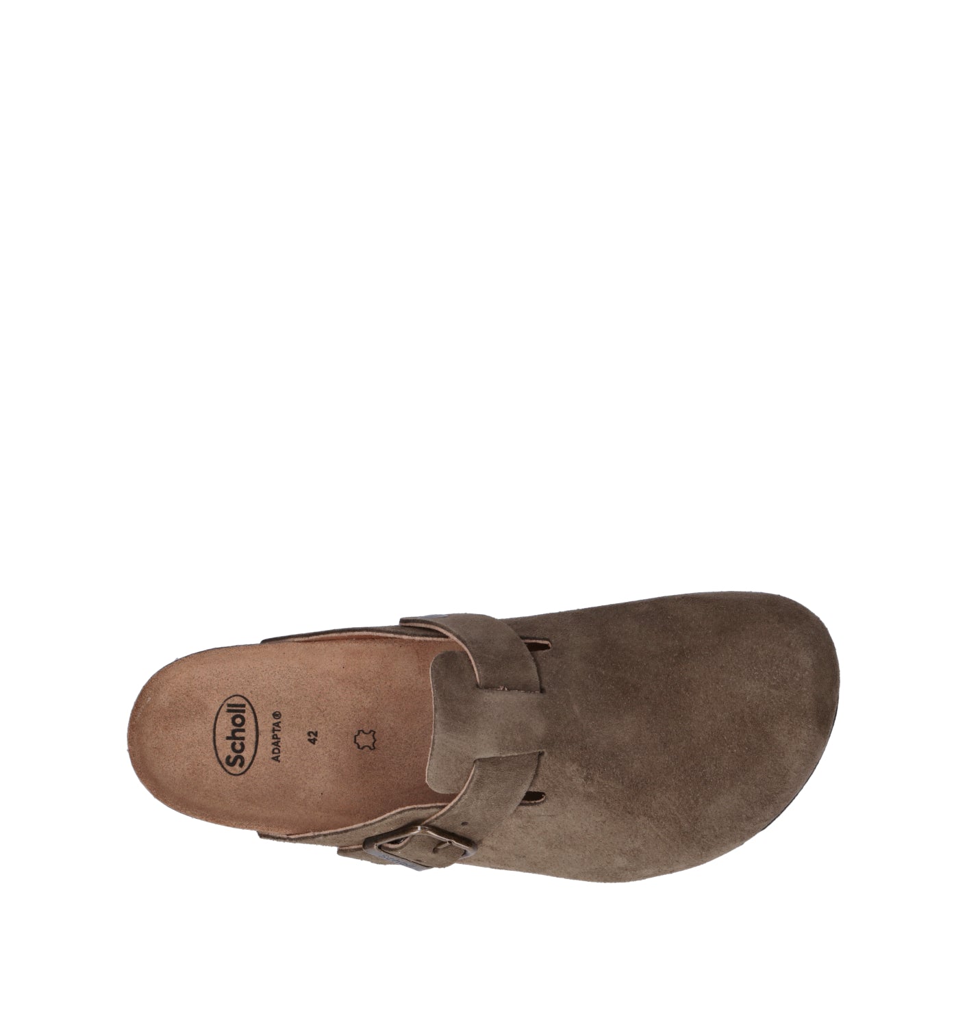 SCHOLL Sabot uomo khaki in suede