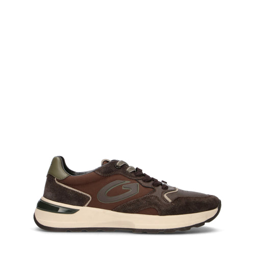 ALBERTO GUARDIANI Sneaker uomo testa di moro