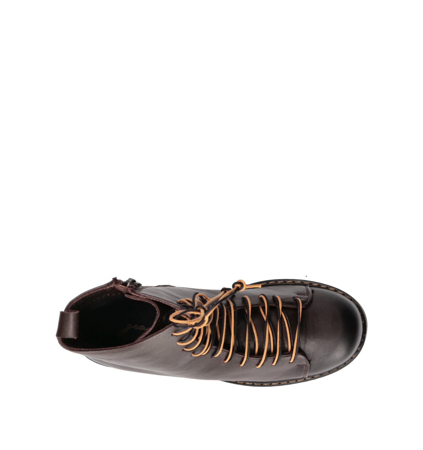 GRAFIA Polacco donna testa di moro in suede