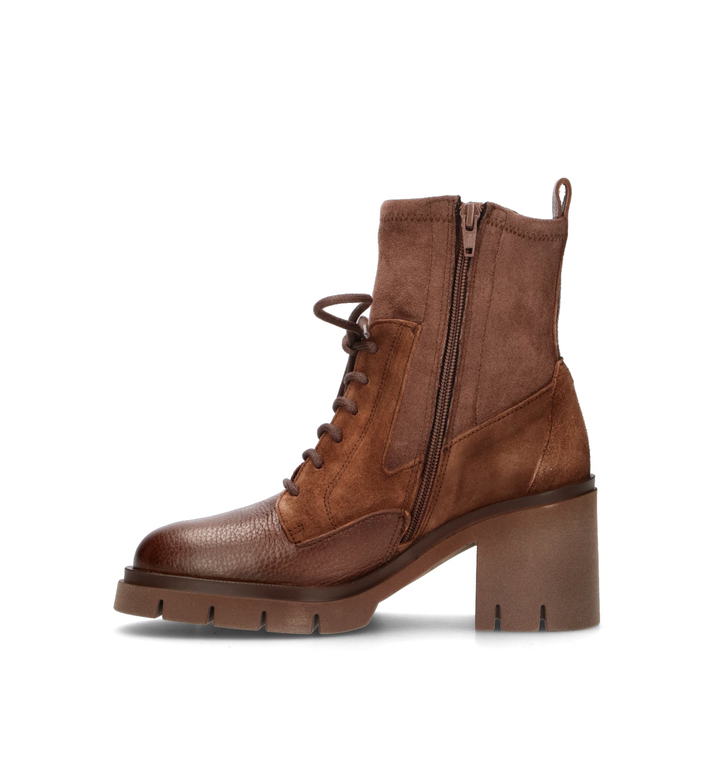 HISPANISTAS Polacco donna marrone