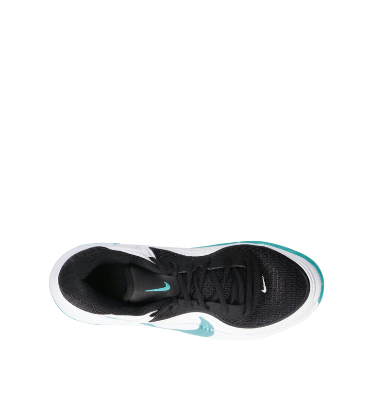 NIKE PRECISION 8 LOW Scarpa basket uomo nera