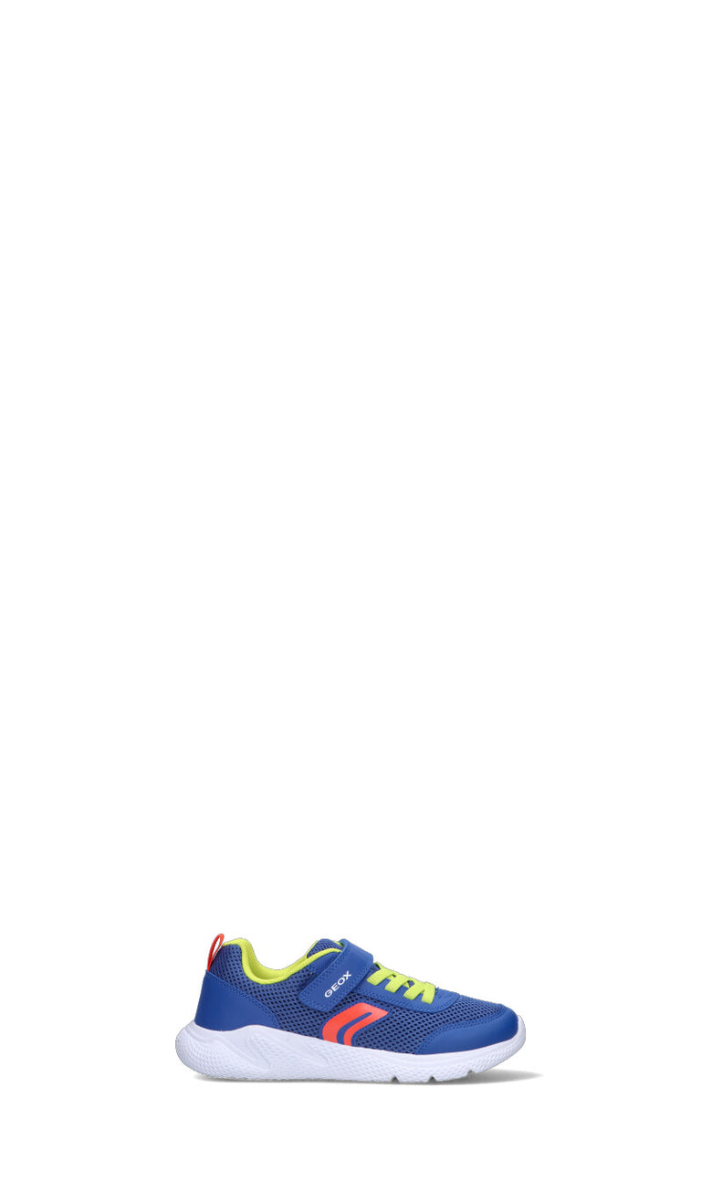 GEOX Sneaker bimbo blu