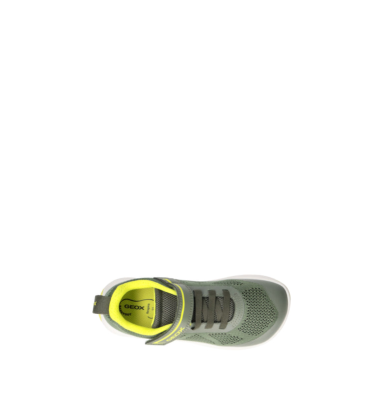 GEOX Sneaker bimbo verde