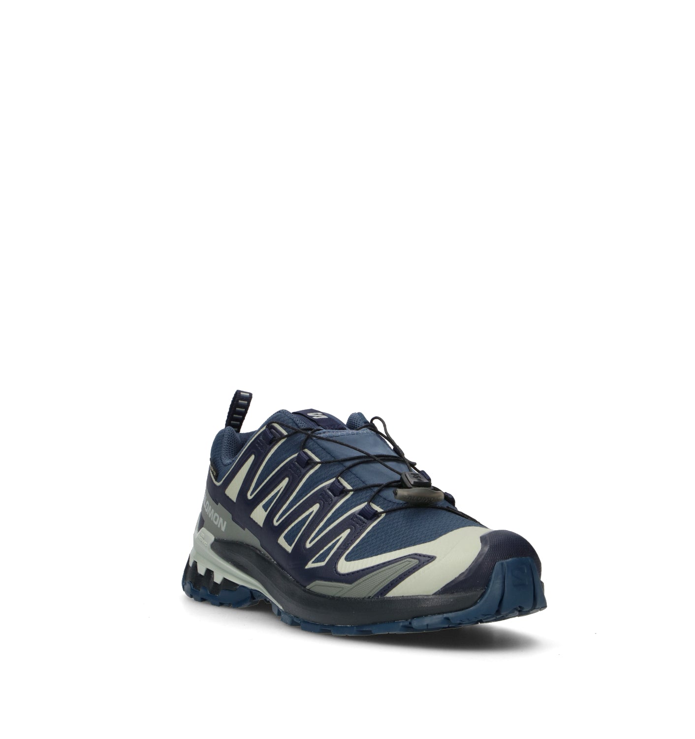 SALOMON XA PRO 3D V9 GTX Scarpa trekking uomo blu in gore-tex