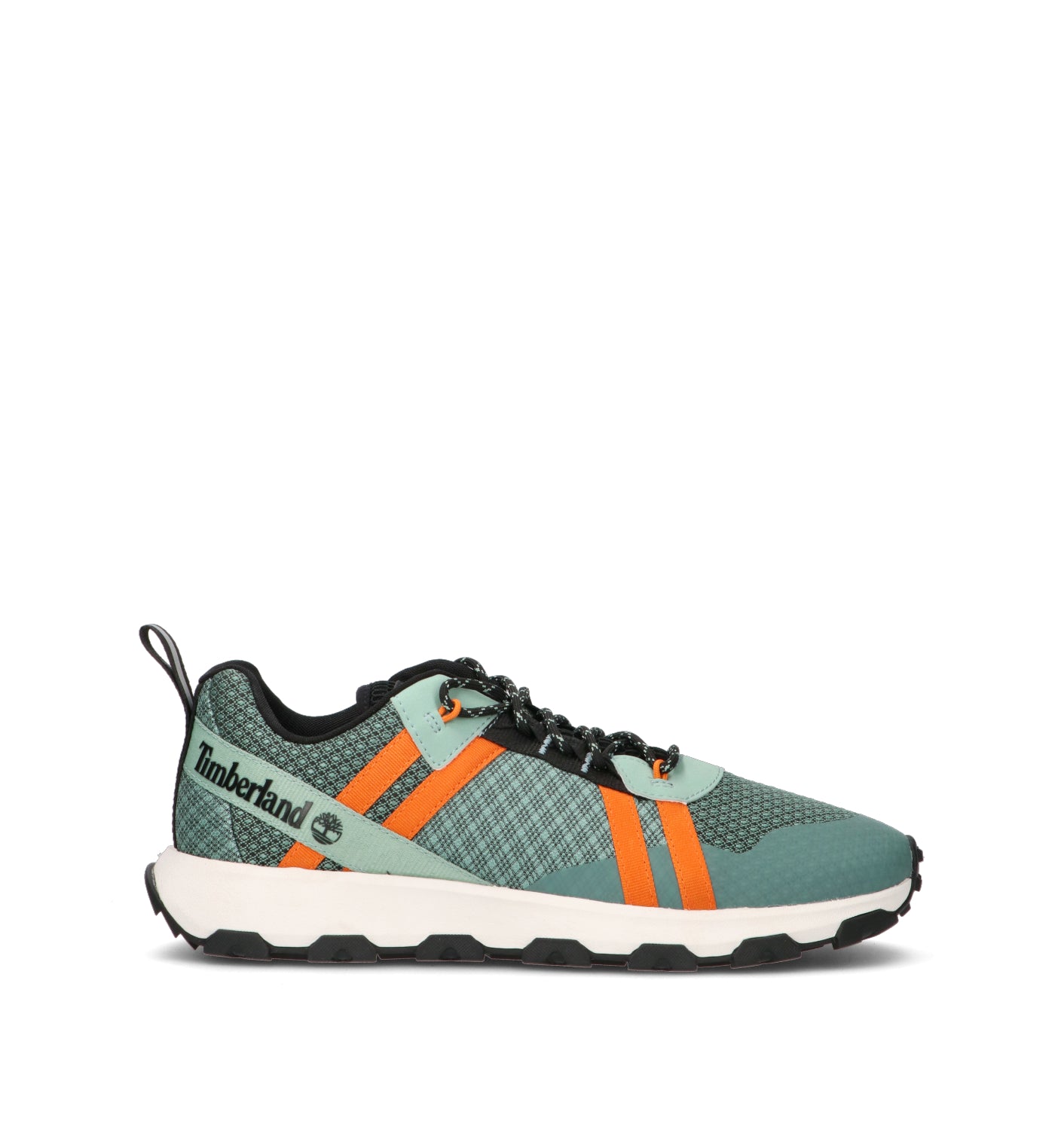 TIMBERLAND Sneaker uomo verde