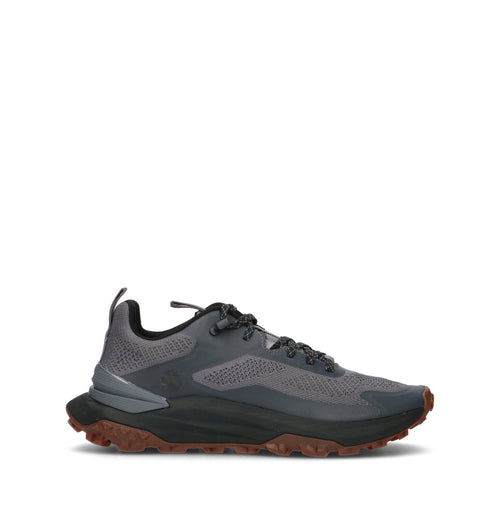 TIMBERLAND Sneaker uomo grigia