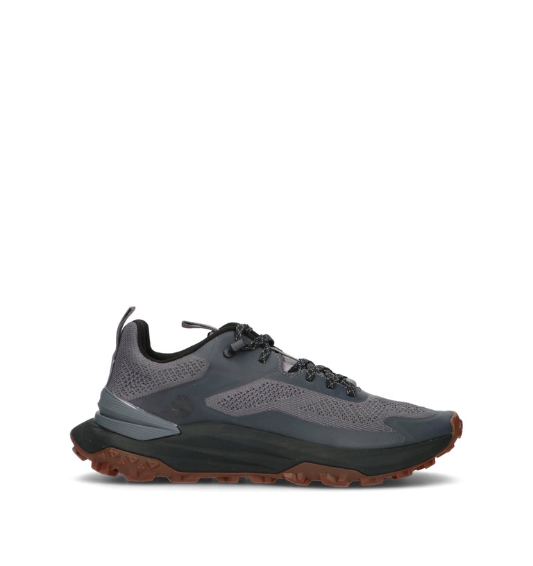TIMBERLAND Sneaker uomo grigia