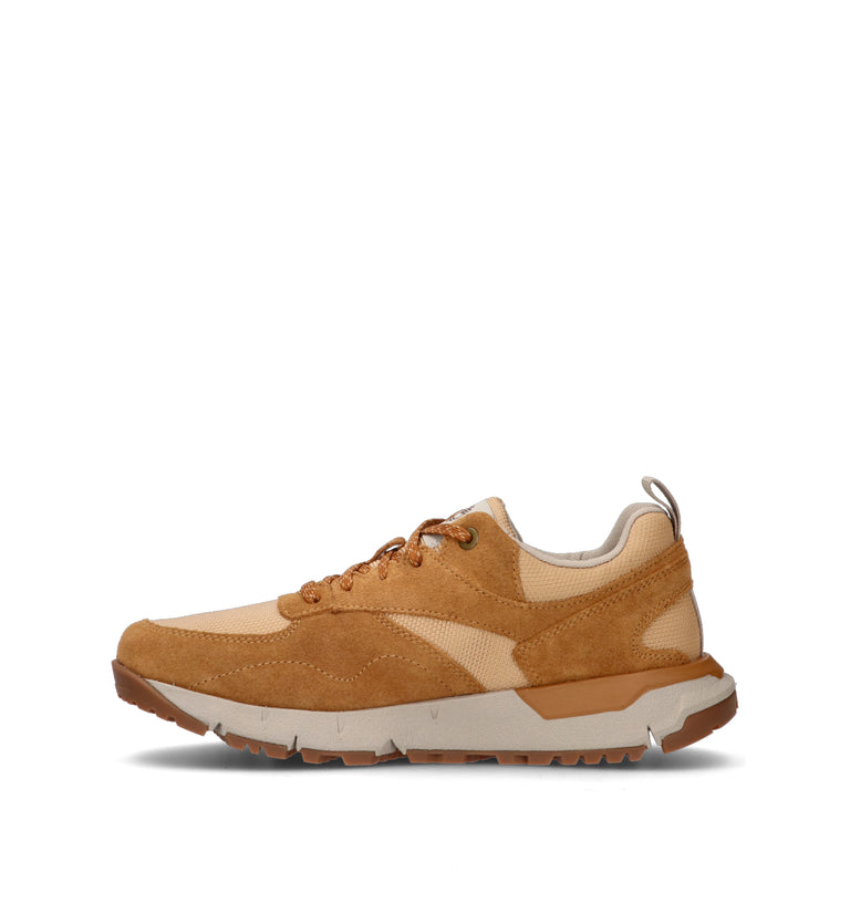 TIMBERLAND Sneaker uomo marrone
