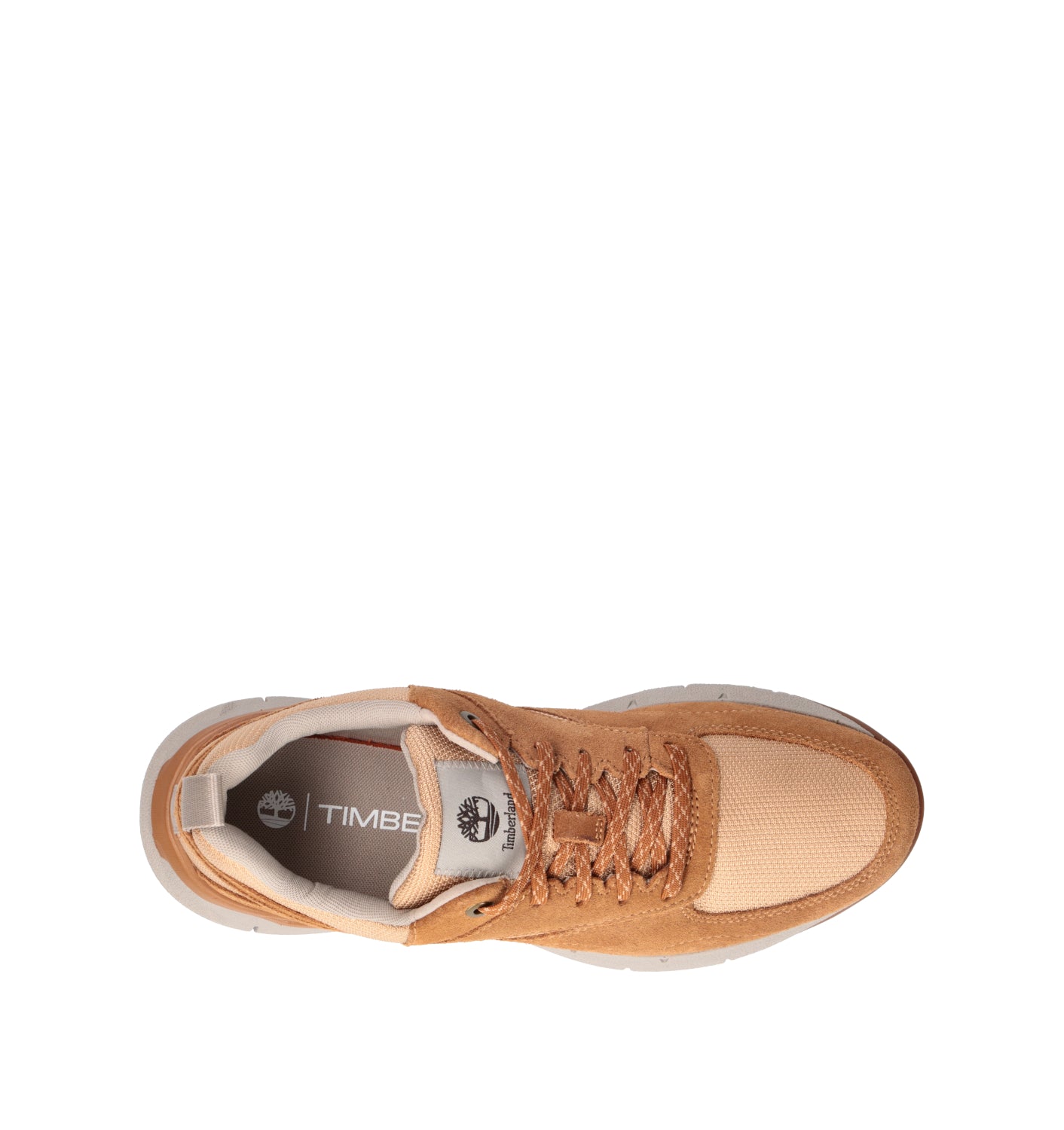 TIMBERLAND Sneaker uomo marrone