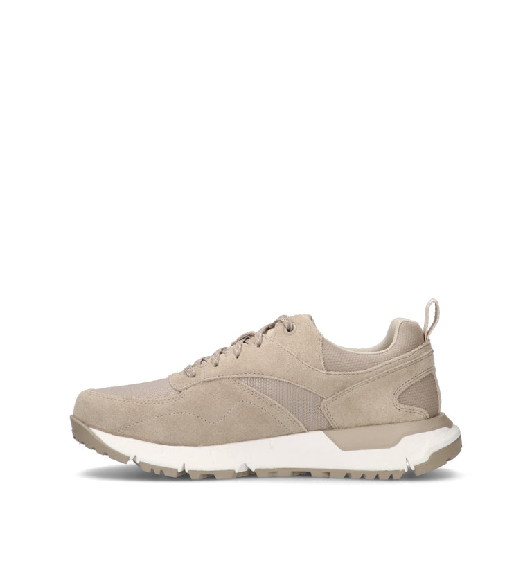 TIMBERLAND Sneaker uomo beige