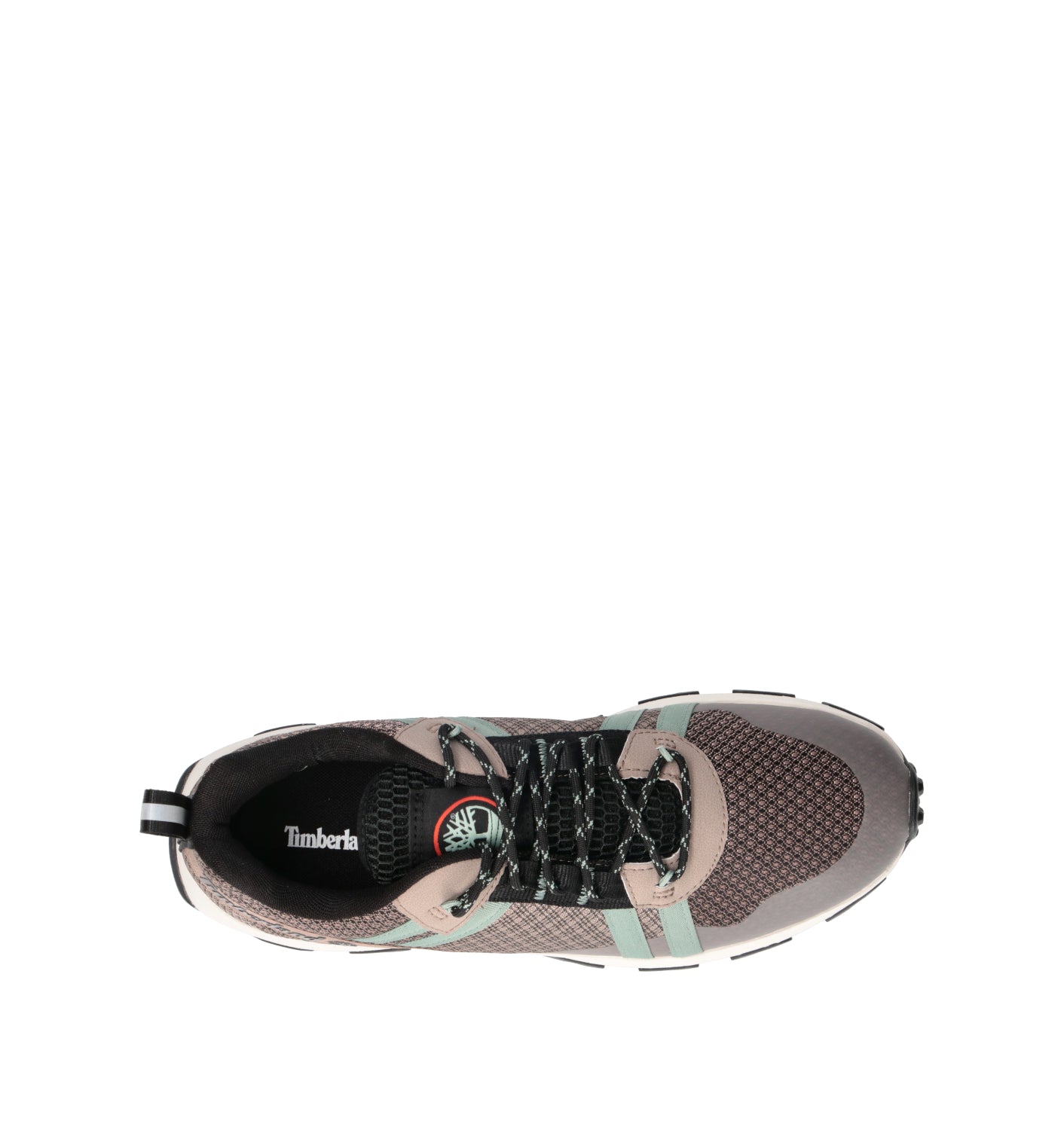 TIMBERLAND Sneaker uomo taupe