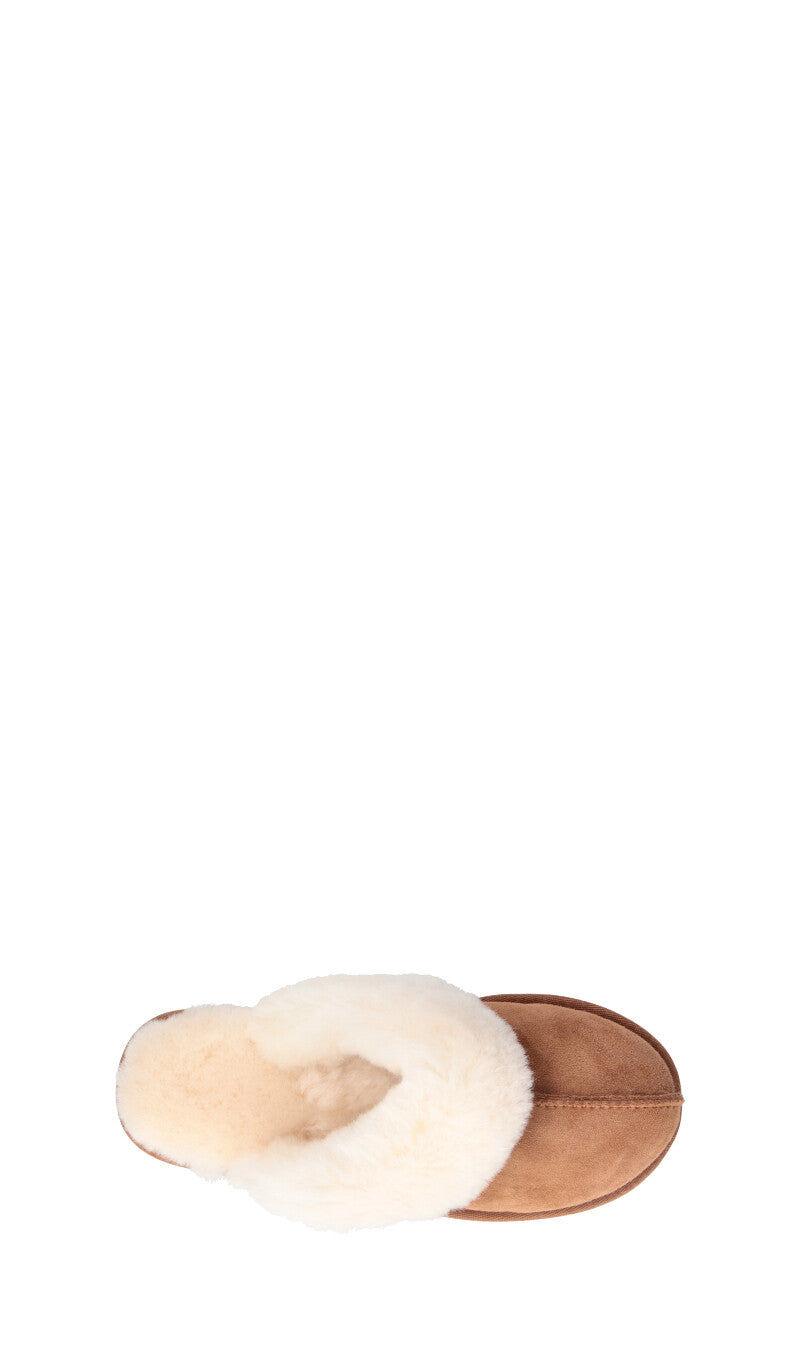TOO LIKE Ciabatta donna chestnut in suede