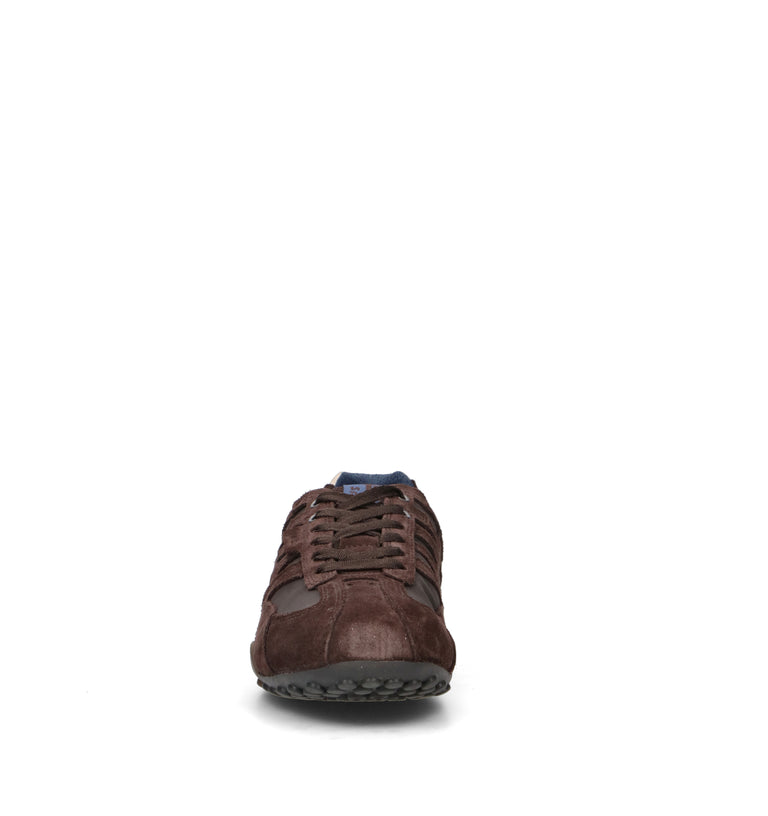GEOX Sneaker uomo