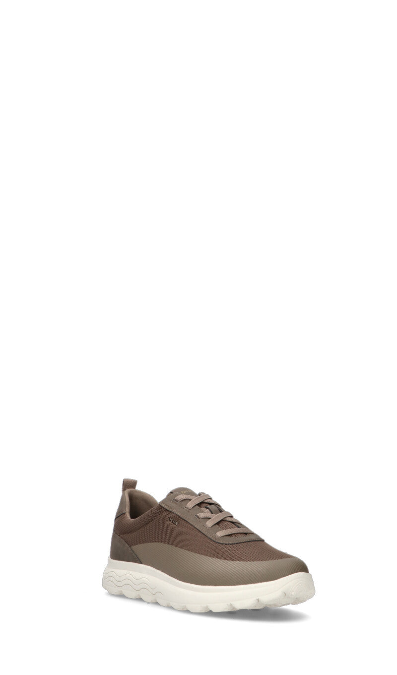 GEOX Sneaker uomo grigia