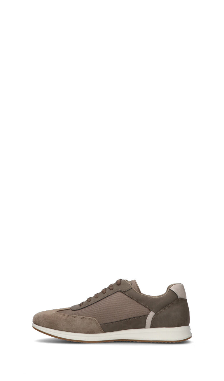 GEOX Sneaker uomo grigia