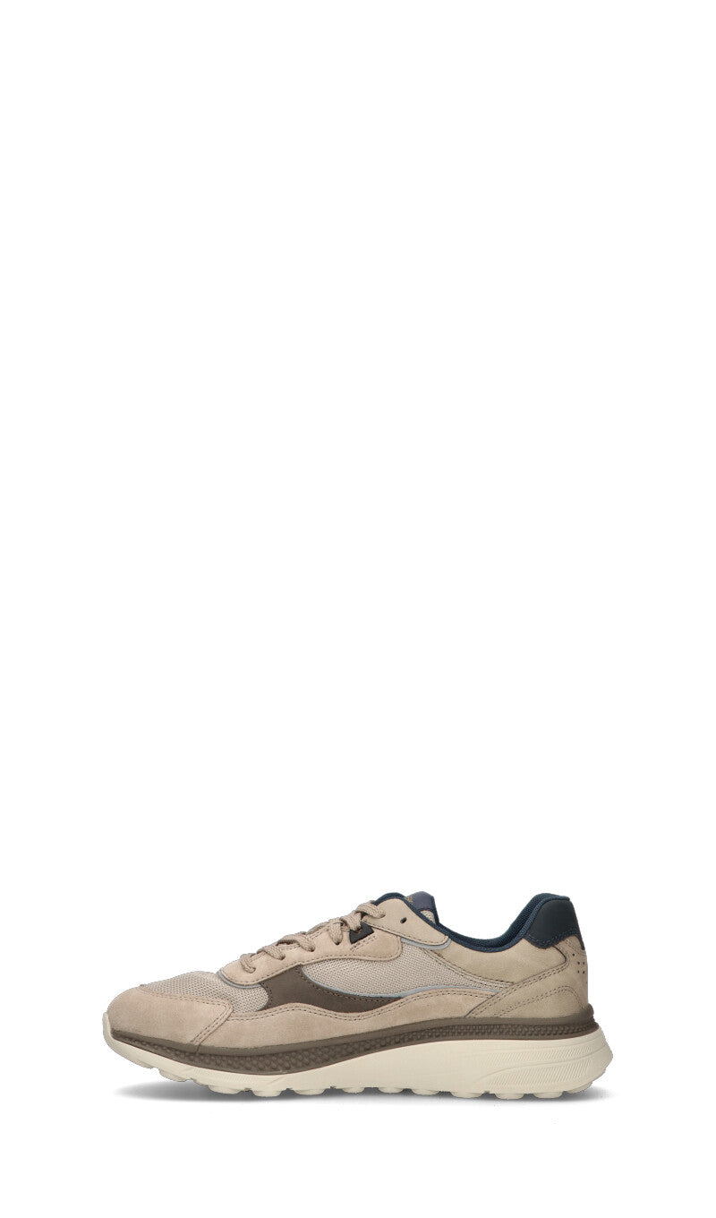 GEOX Sneaker uomo