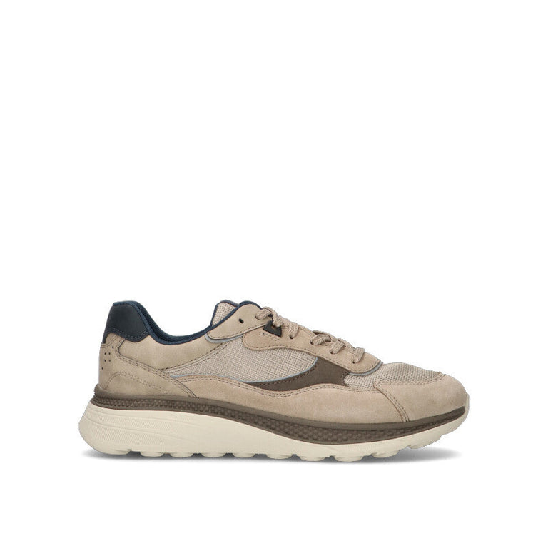 GEOX Sneaker uomo