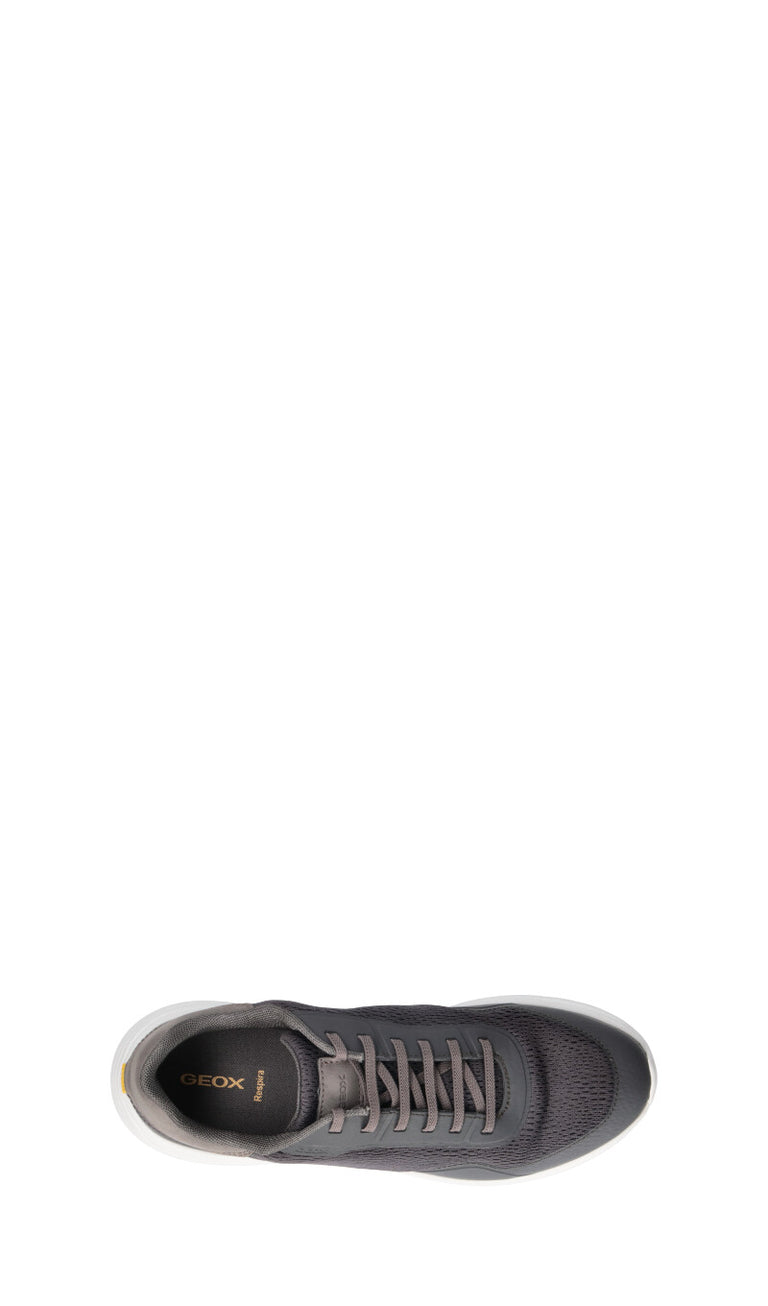 GEOX Sneaker uomo grigia