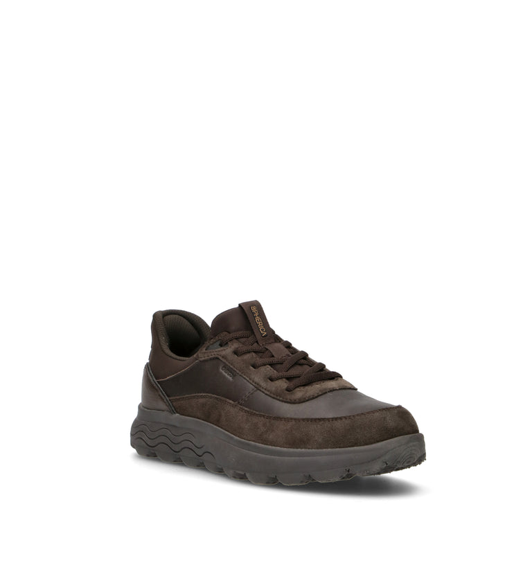 GEOX Sneaker uomo marrone