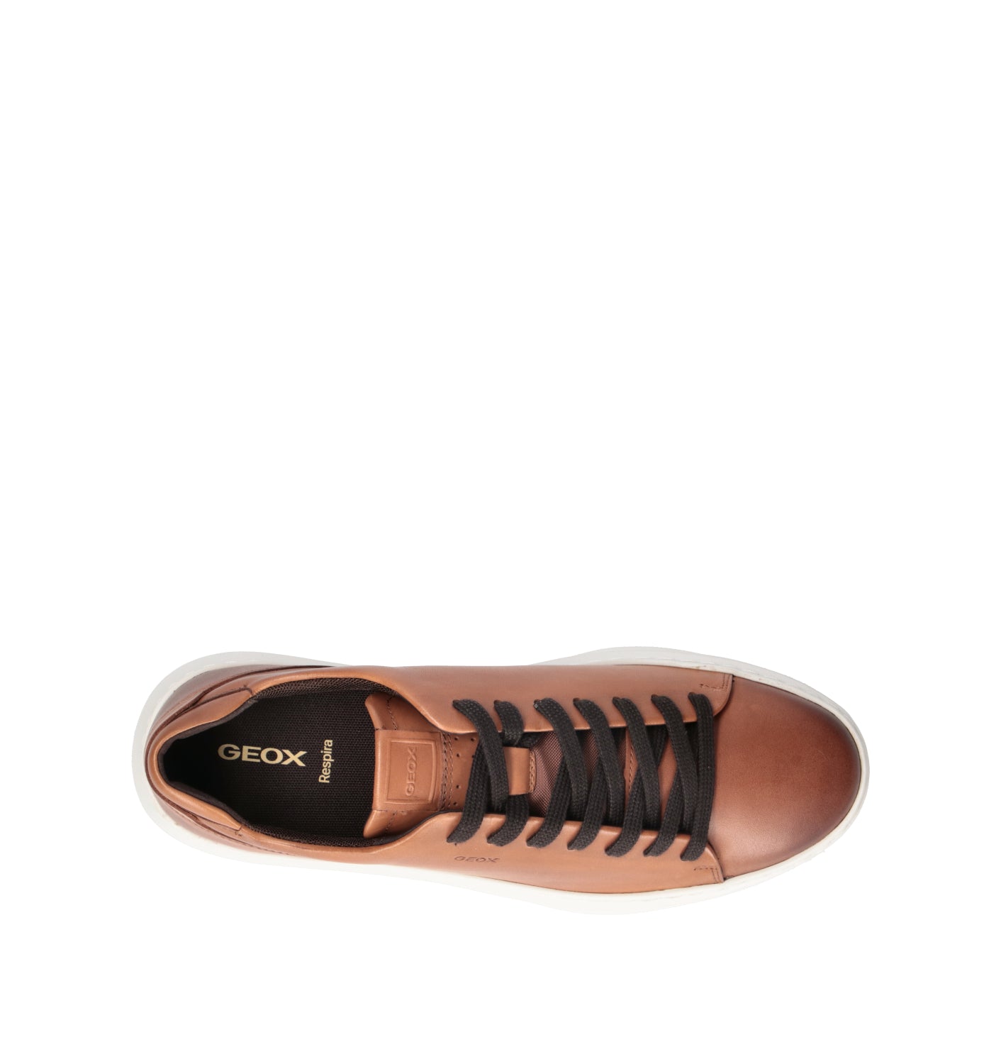 GEOX Sneaker uomo marrone in pelle