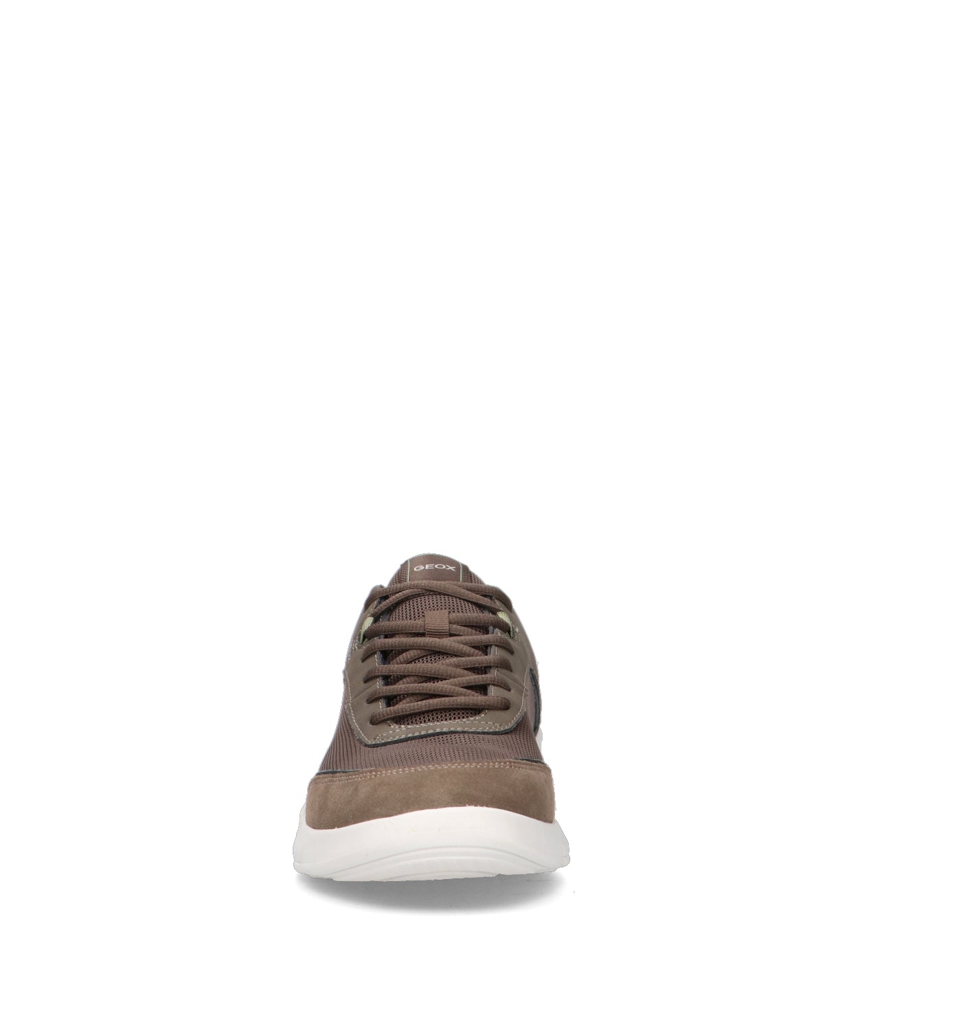 GEOX Sneaker uomo marrone