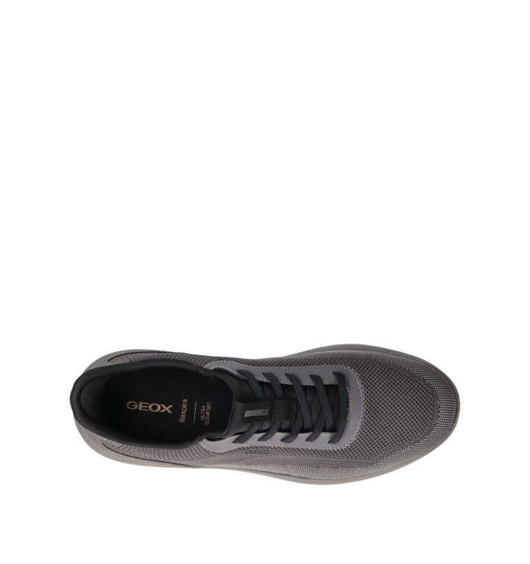 GEOX Sneaker uomo