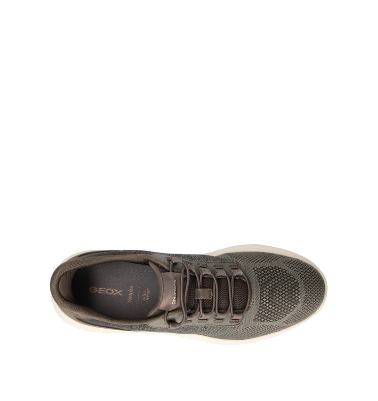 GEOX Sneaker uomo
